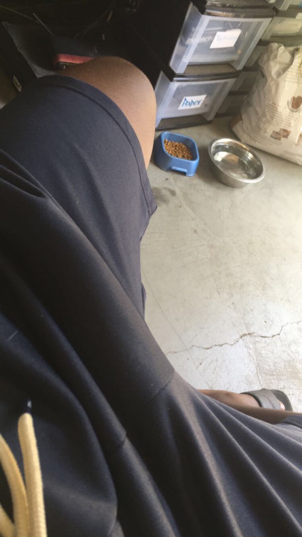 bigsenpaii OnlyFans profile picture