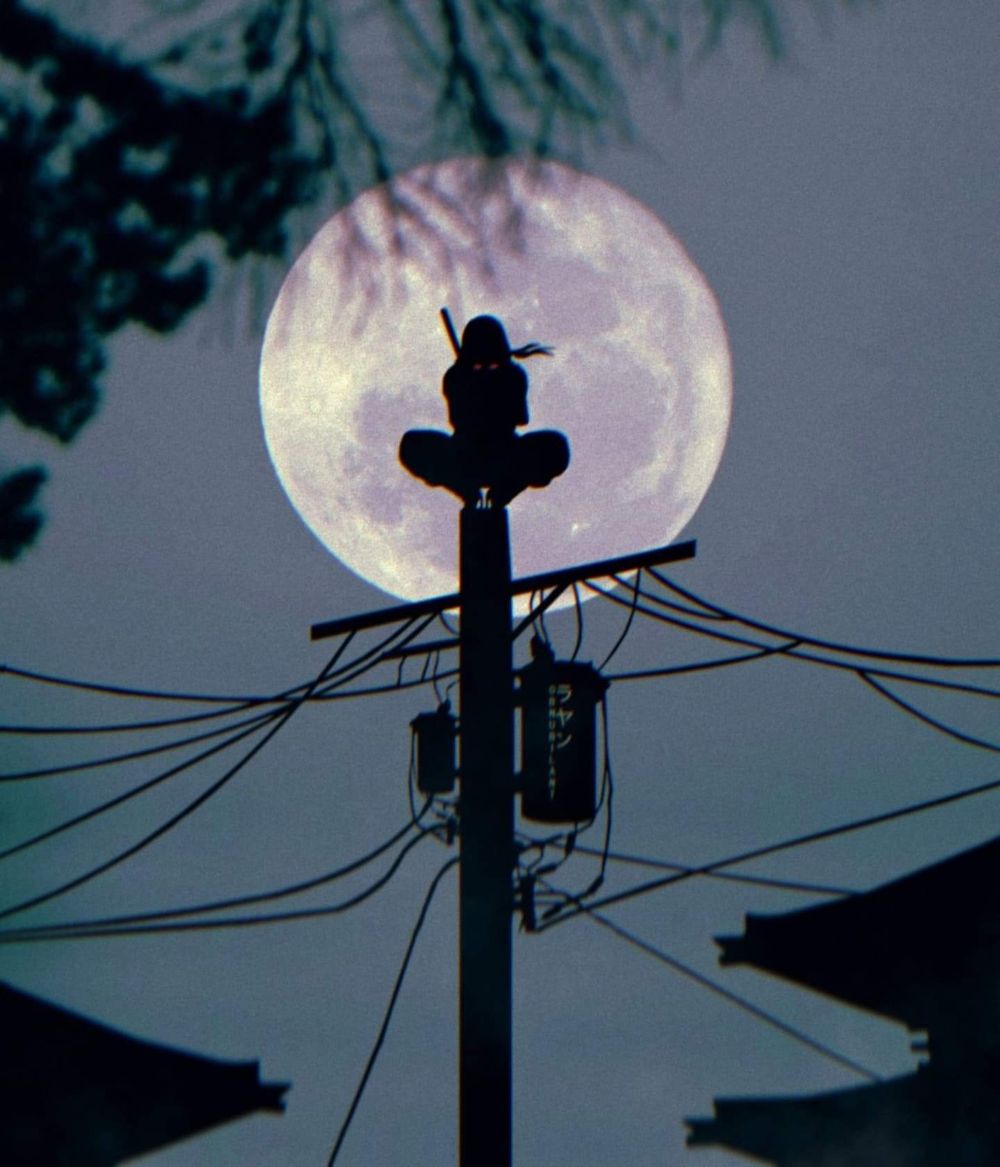 shujindaddy OnlyFans profile picture
