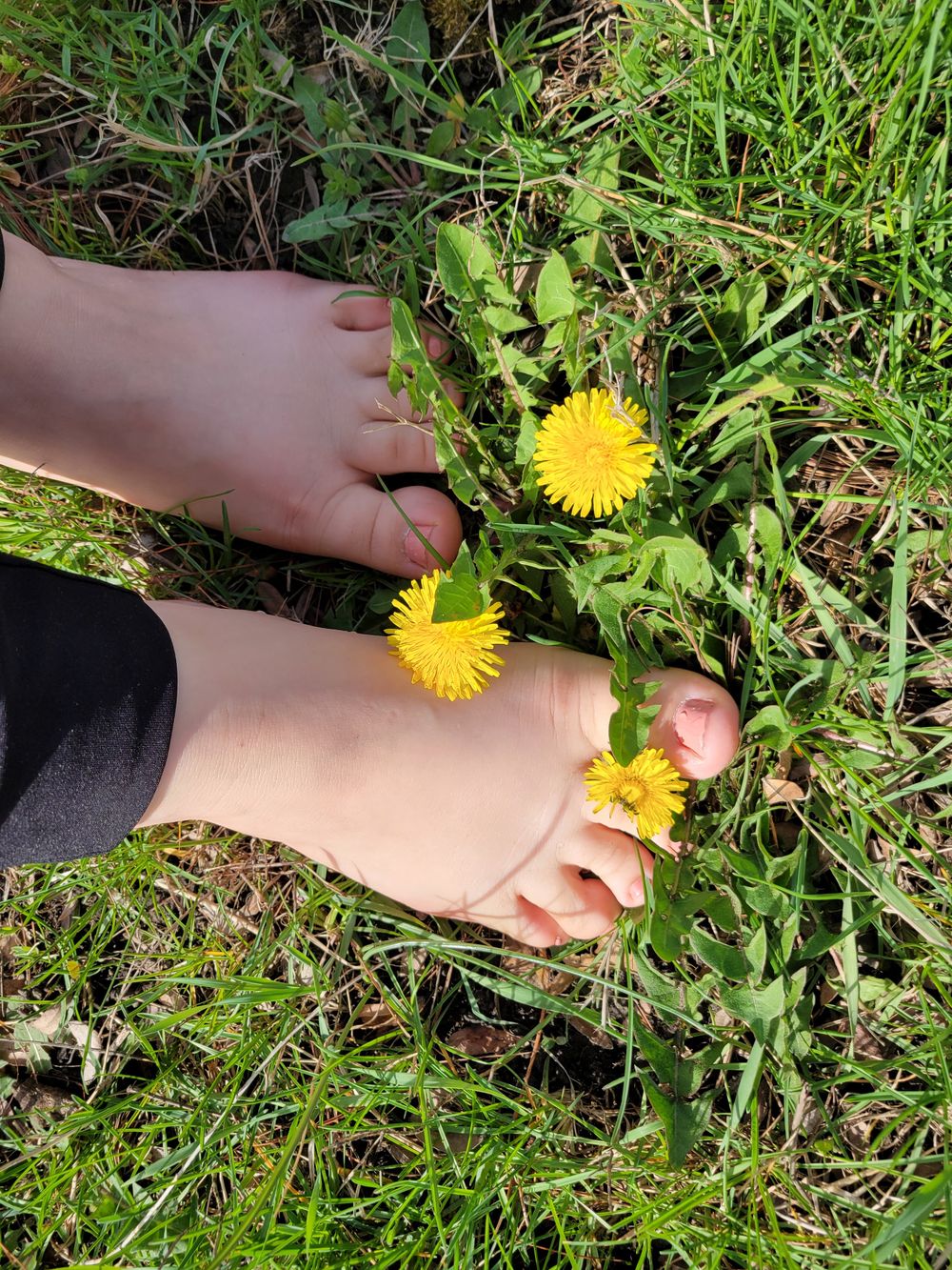 sparklefeetmama OnlyFans profile picture