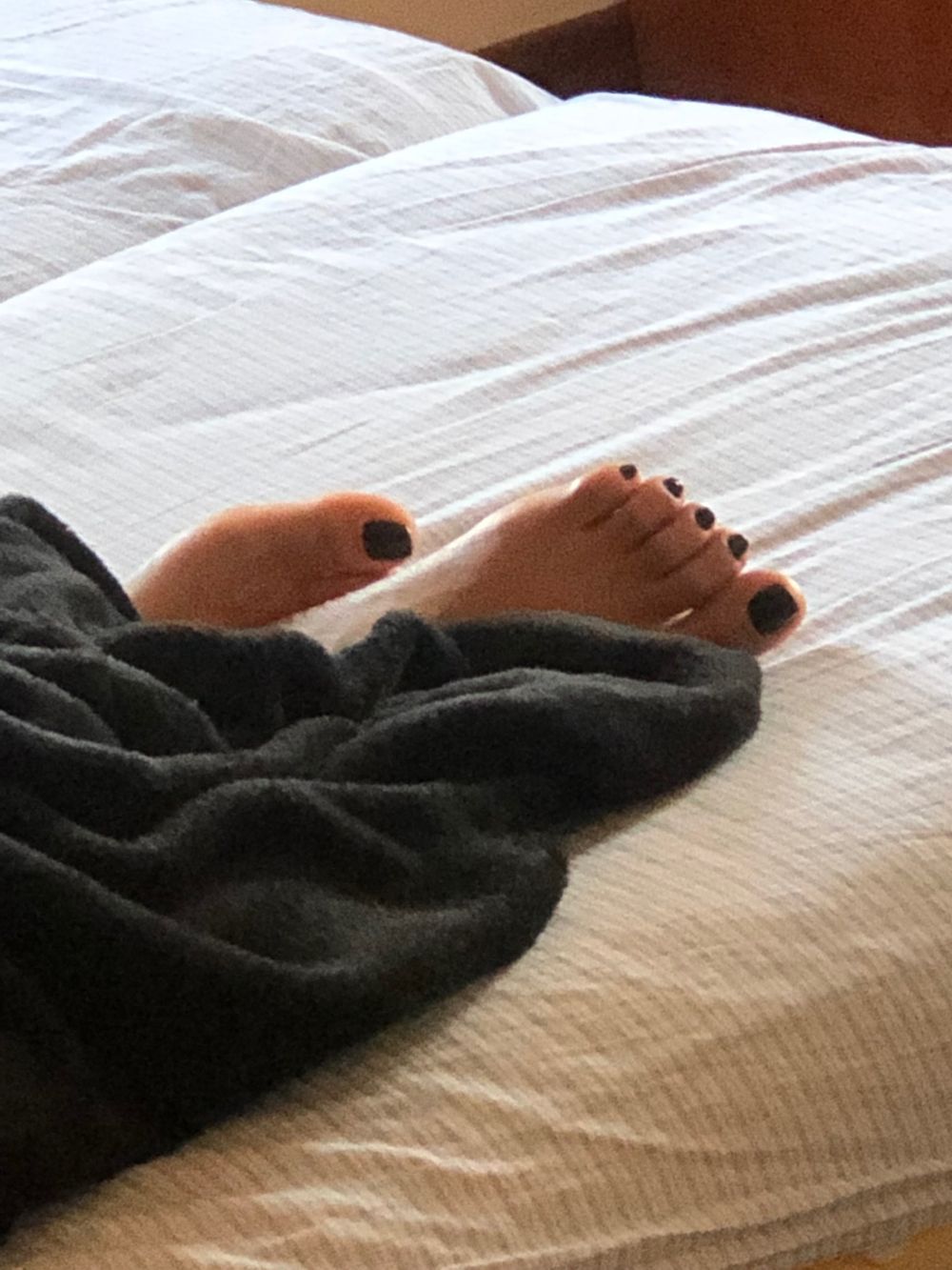 terenzioruben OnlyFans profile picture