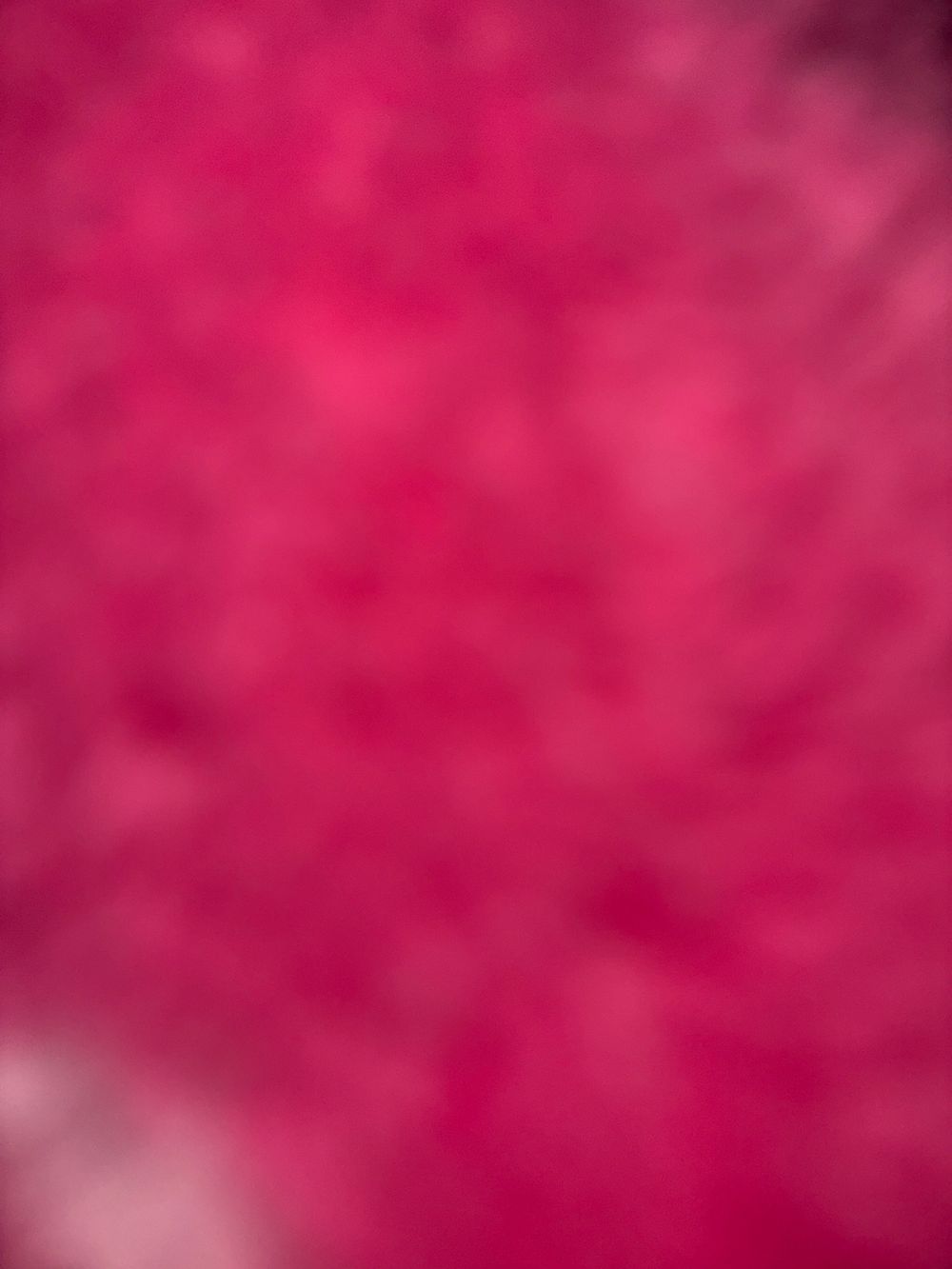 dulcerox2064 OnlyFans profile picture