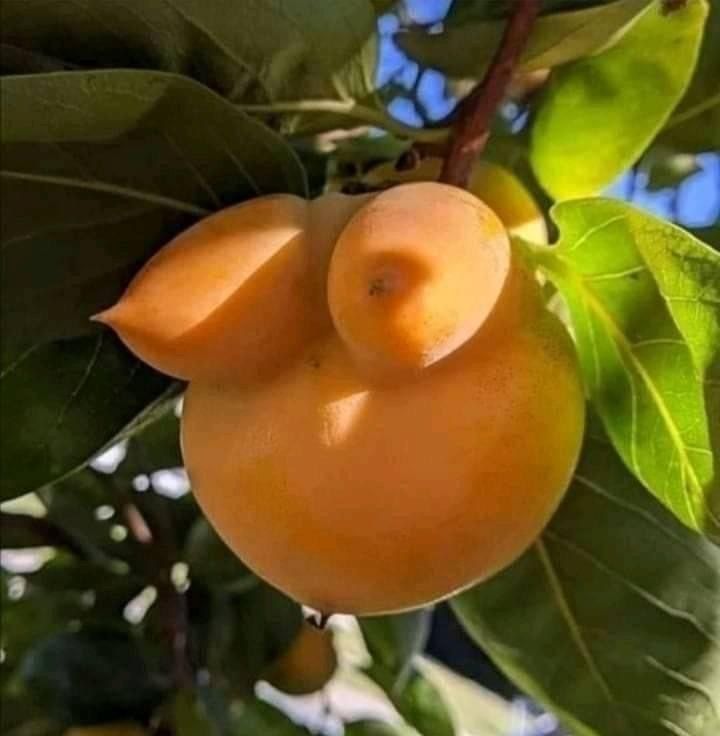 honeymoon_bby OnlyFans profile picture