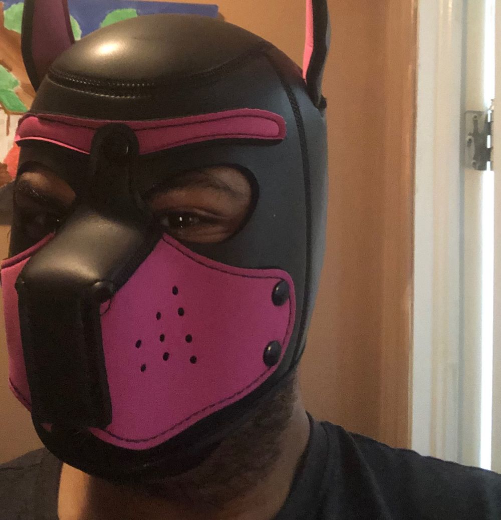 pupalicious OnlyFans profile picture