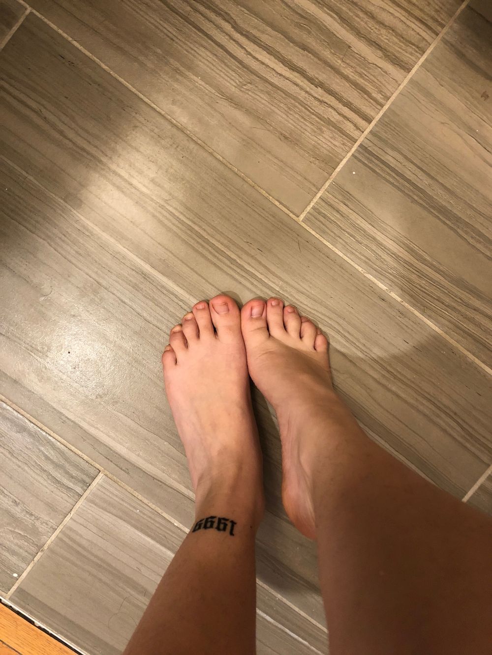 pollyalocasia OnlyFans profile picture