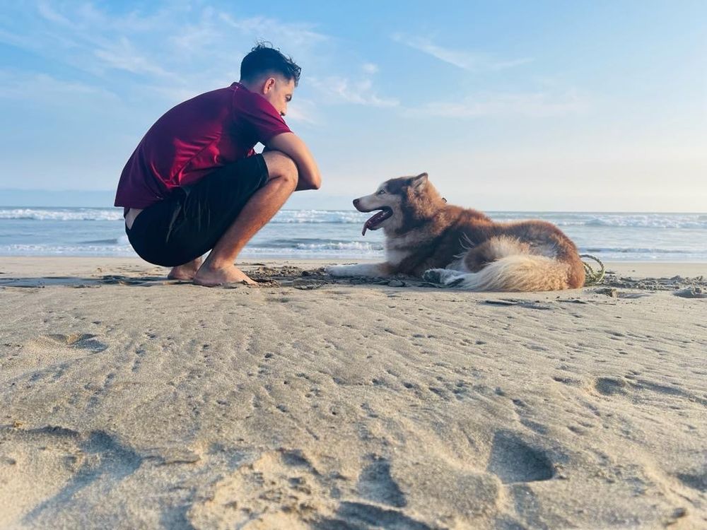 basujabo OnlyFans profile picture