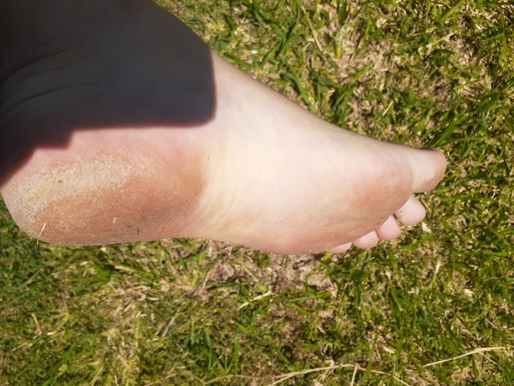 manbearfeet OnlyFans profile picture
