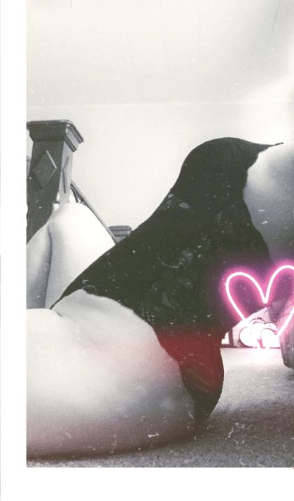 mandypop OnlyFans picture