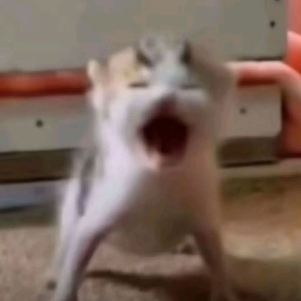 taigalin OnlyFans profile picture