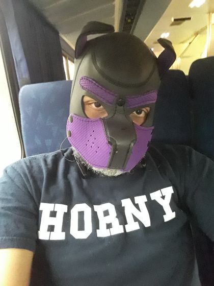 phoenix_pup OnlyFans picture