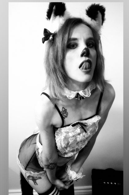thetimidraven OnlyFans picture