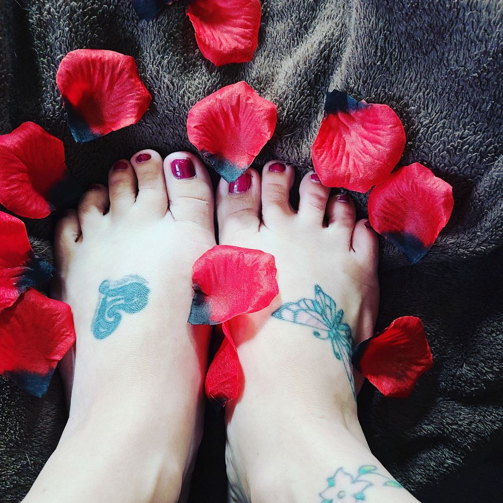 leaslovelyfeet OnlyFans profile picture