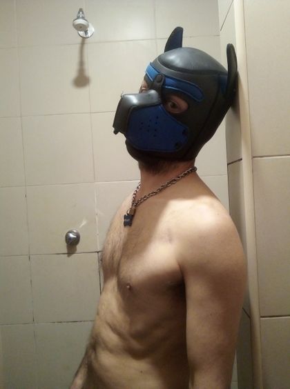 regaleiro1 OnlyFans picture