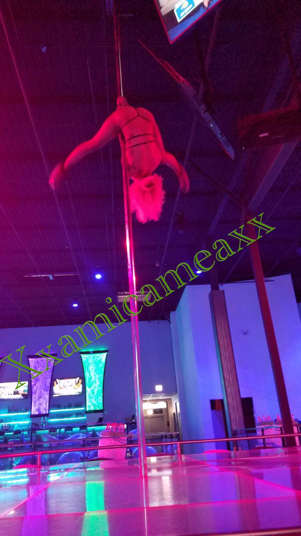 amicameaxxx OnlyFans profile picture