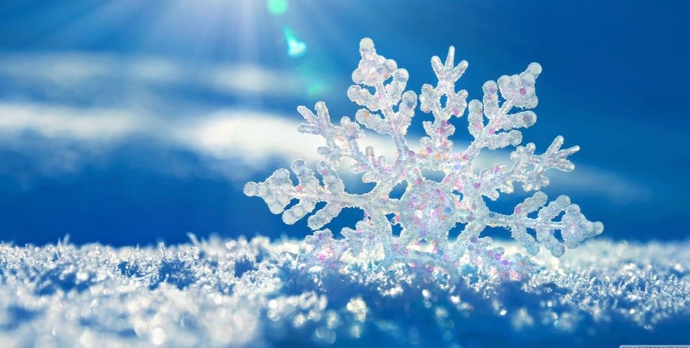 snow2frosty OnlyFans profile picture