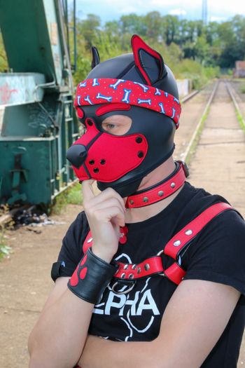 Skylar the cute Puppy