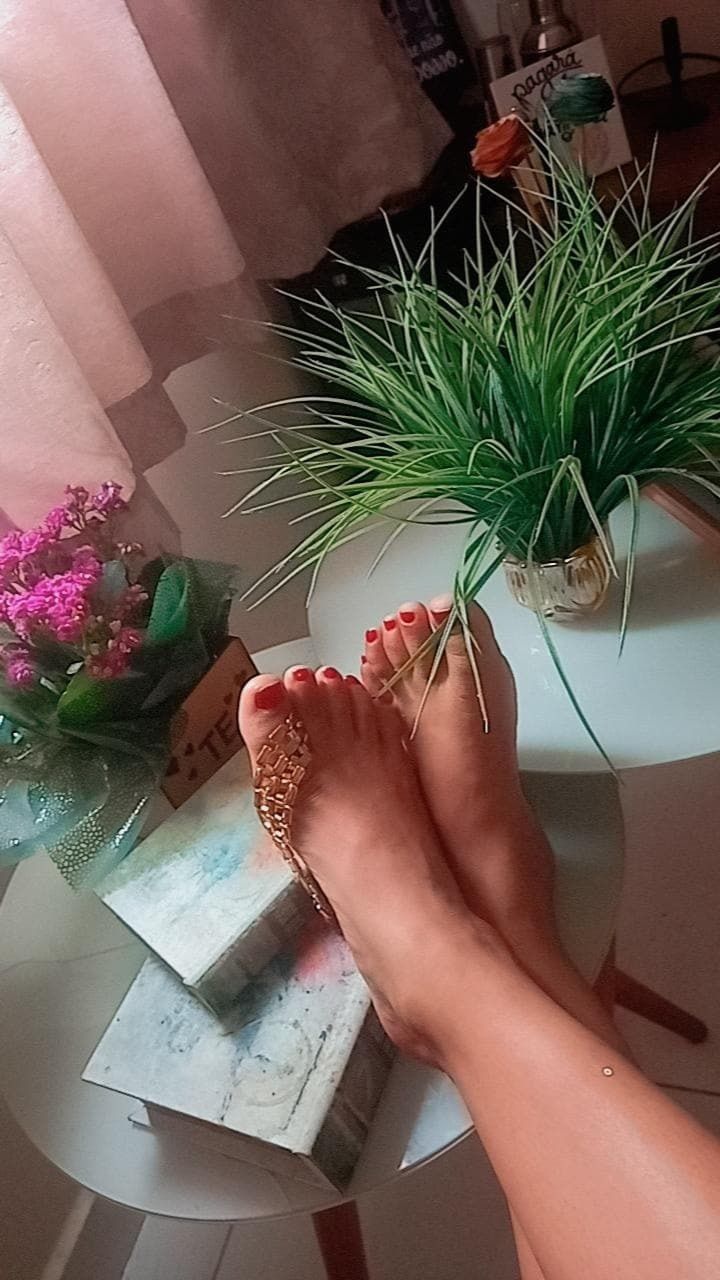 sara.gusmao OnlyFans profile picture