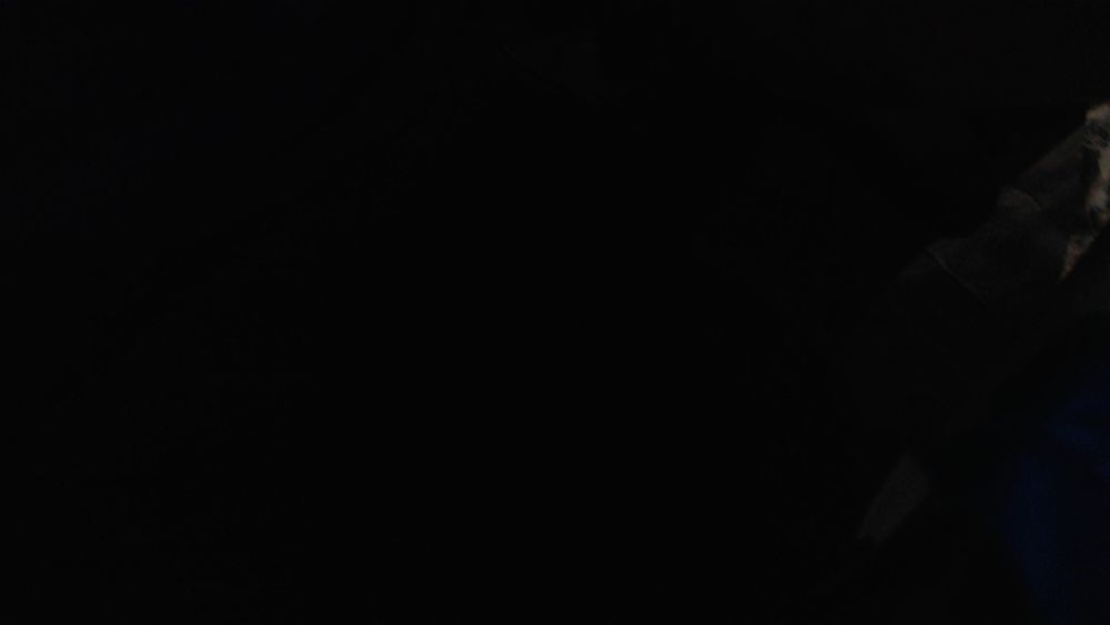 yungdoggg OnlyFans profile picture