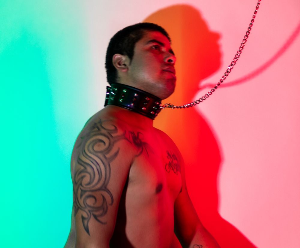 thedoggyboy OnlyFans profile picture