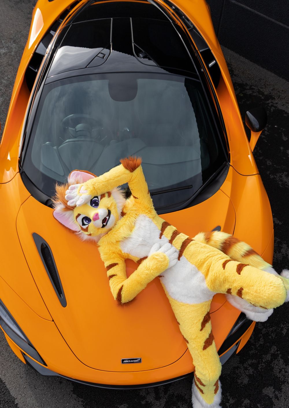 thatyellowkitty OnlyFans profile picture