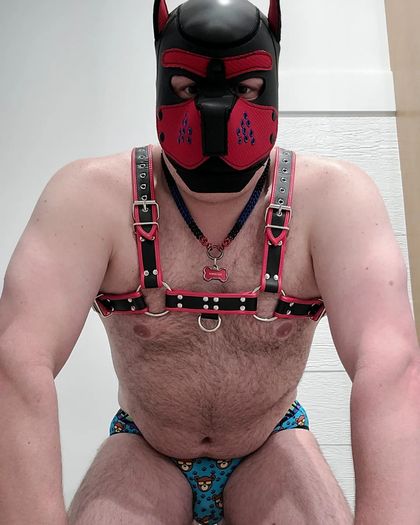 pup-pouch83 OnlyFans picture