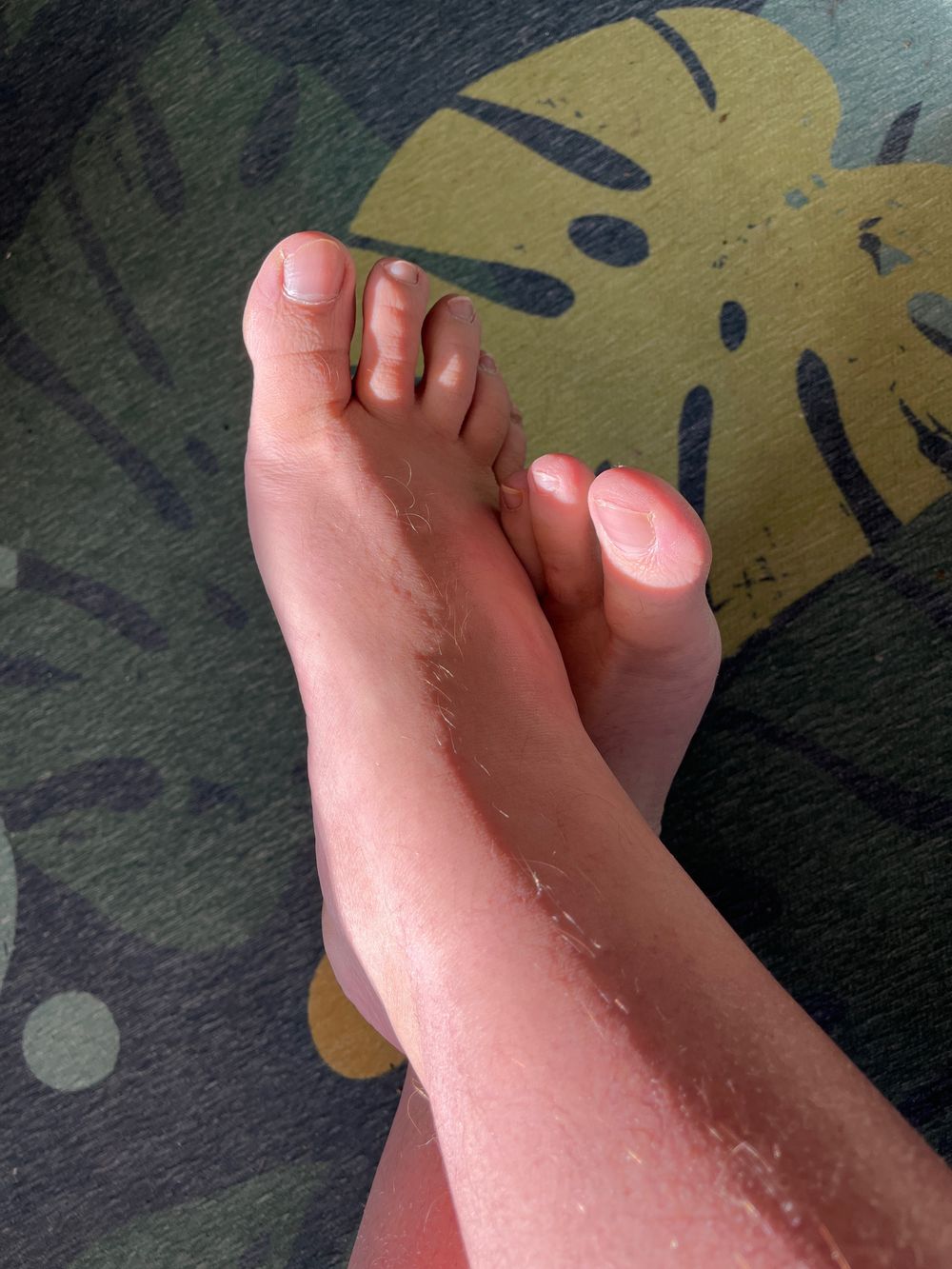 bear_foot_by_the_fire OnlyFans profile picture
