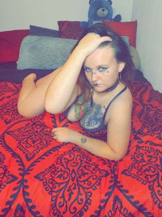 bunnybear13 OnlyFans profile picture