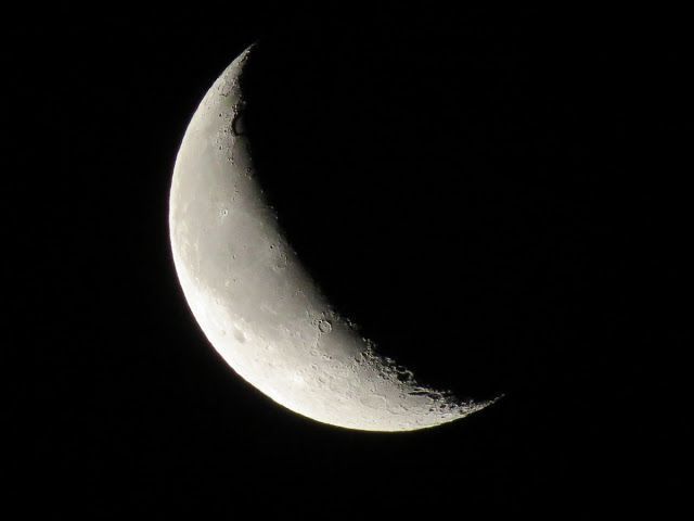 el.decreto.divino98 OnlyFans profile picture