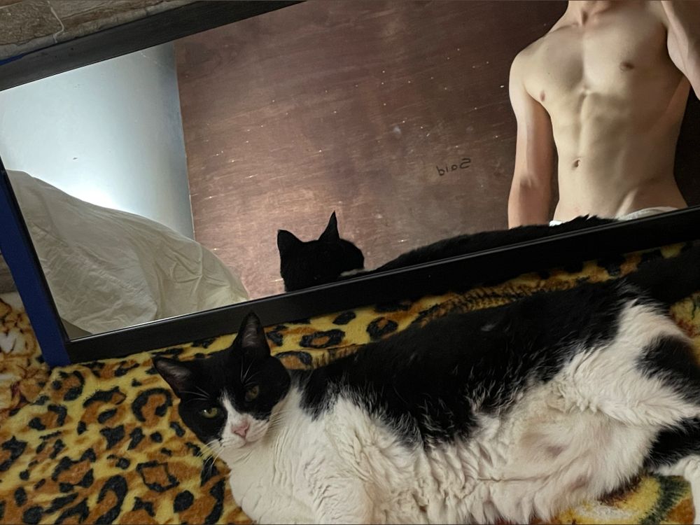 saidcillo OnlyFans profile picture