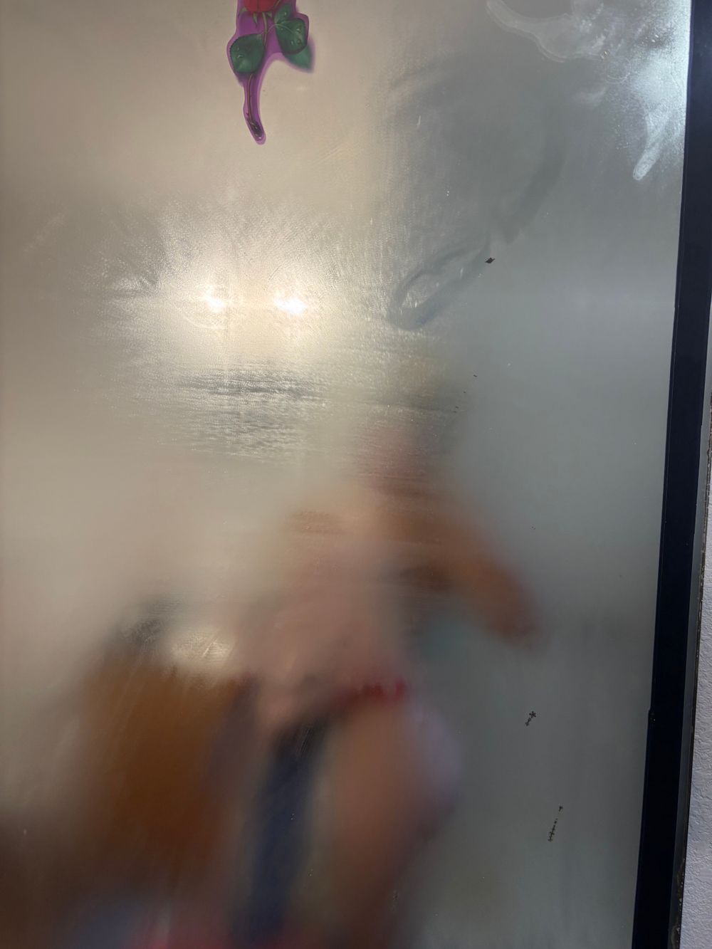 jasleneadler OnlyFans profile picture