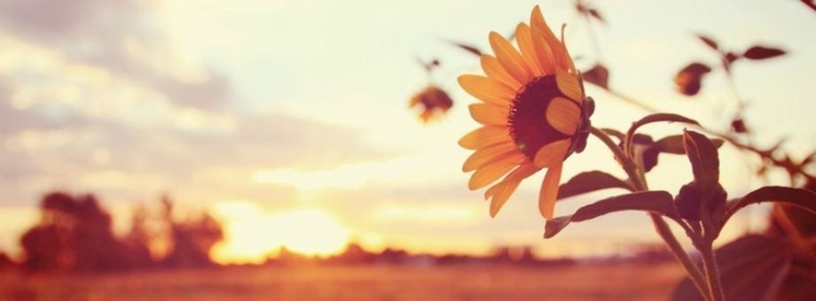 lanabanana765 OnlyFans profile picture