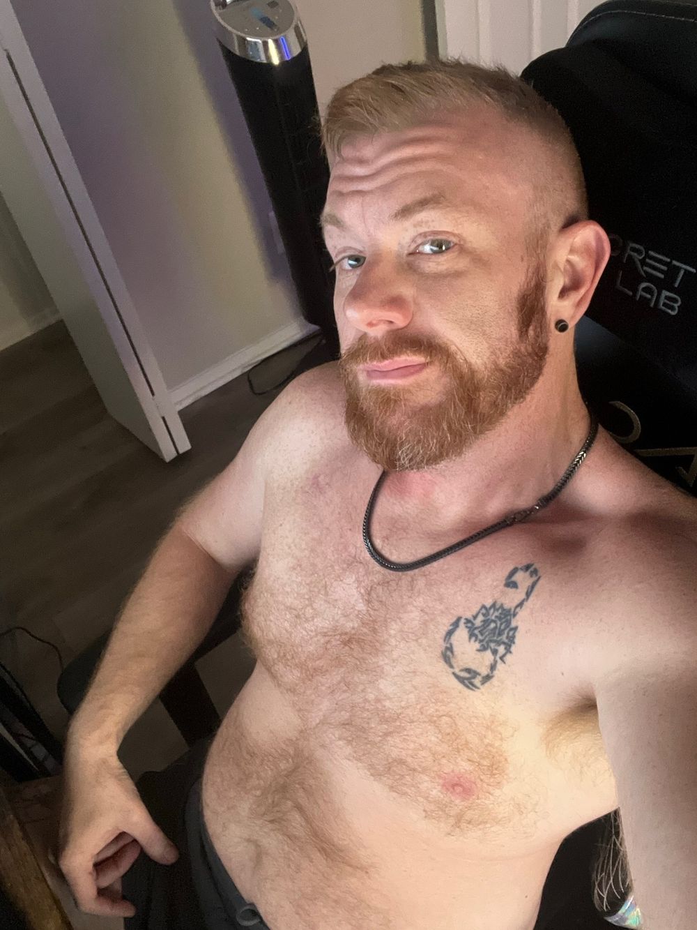 daddybrockaz OnlyFans profile picture