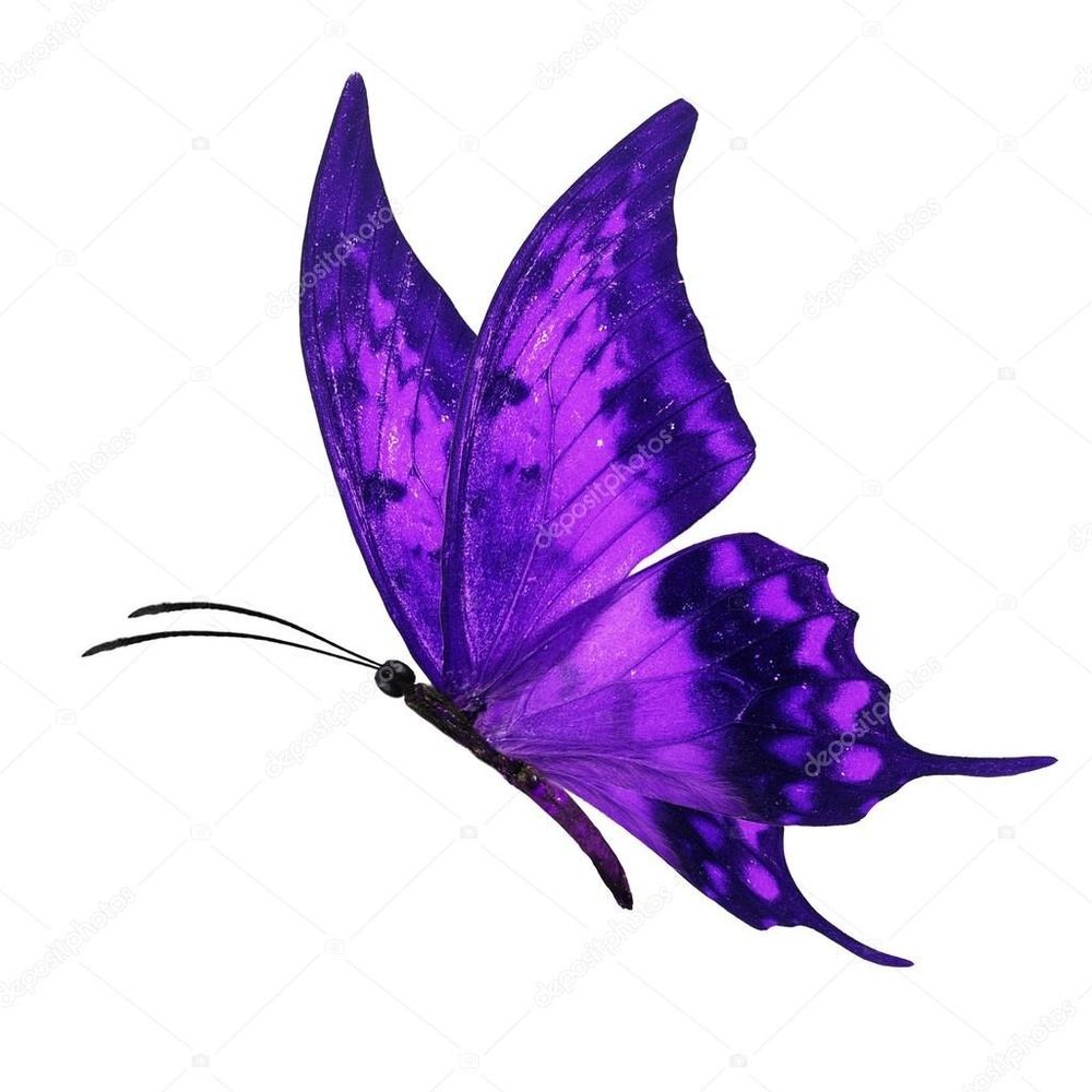 miss_butterfly1234 OnlyFans profile picture