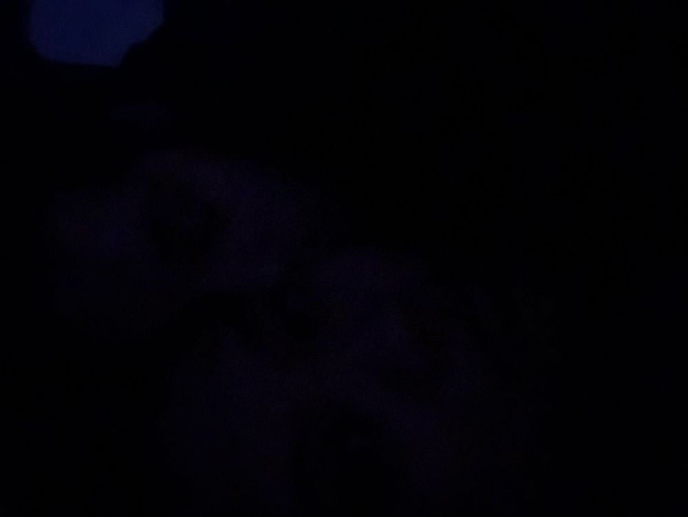 rikagd OnlyFans profile picture