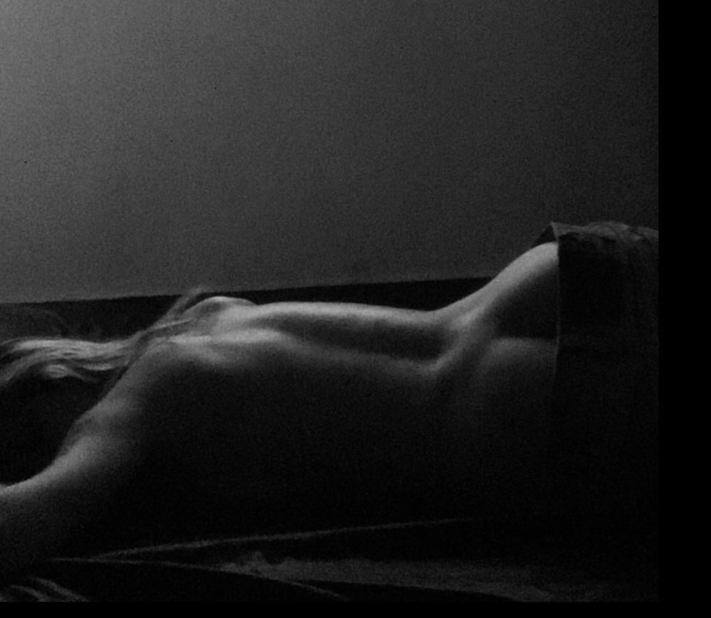 venussunev OnlyFans profile picture