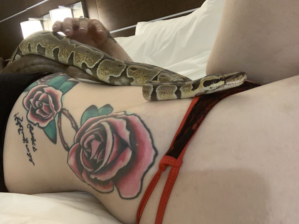 staticcandy OnlyFans profile picture