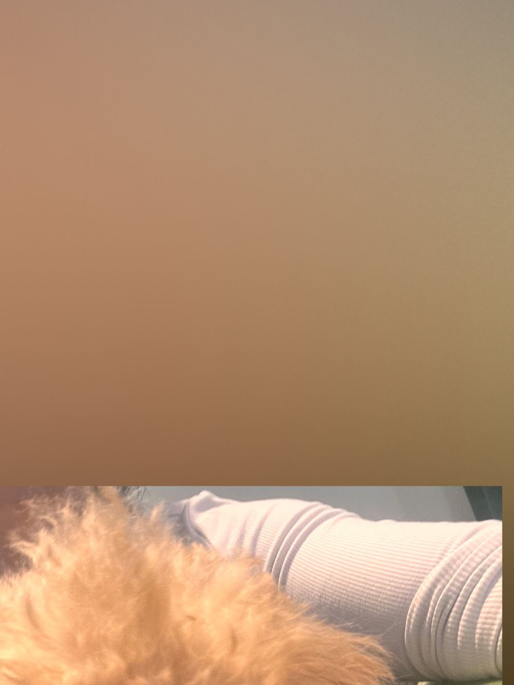 u6486560 OnlyFans profile picture