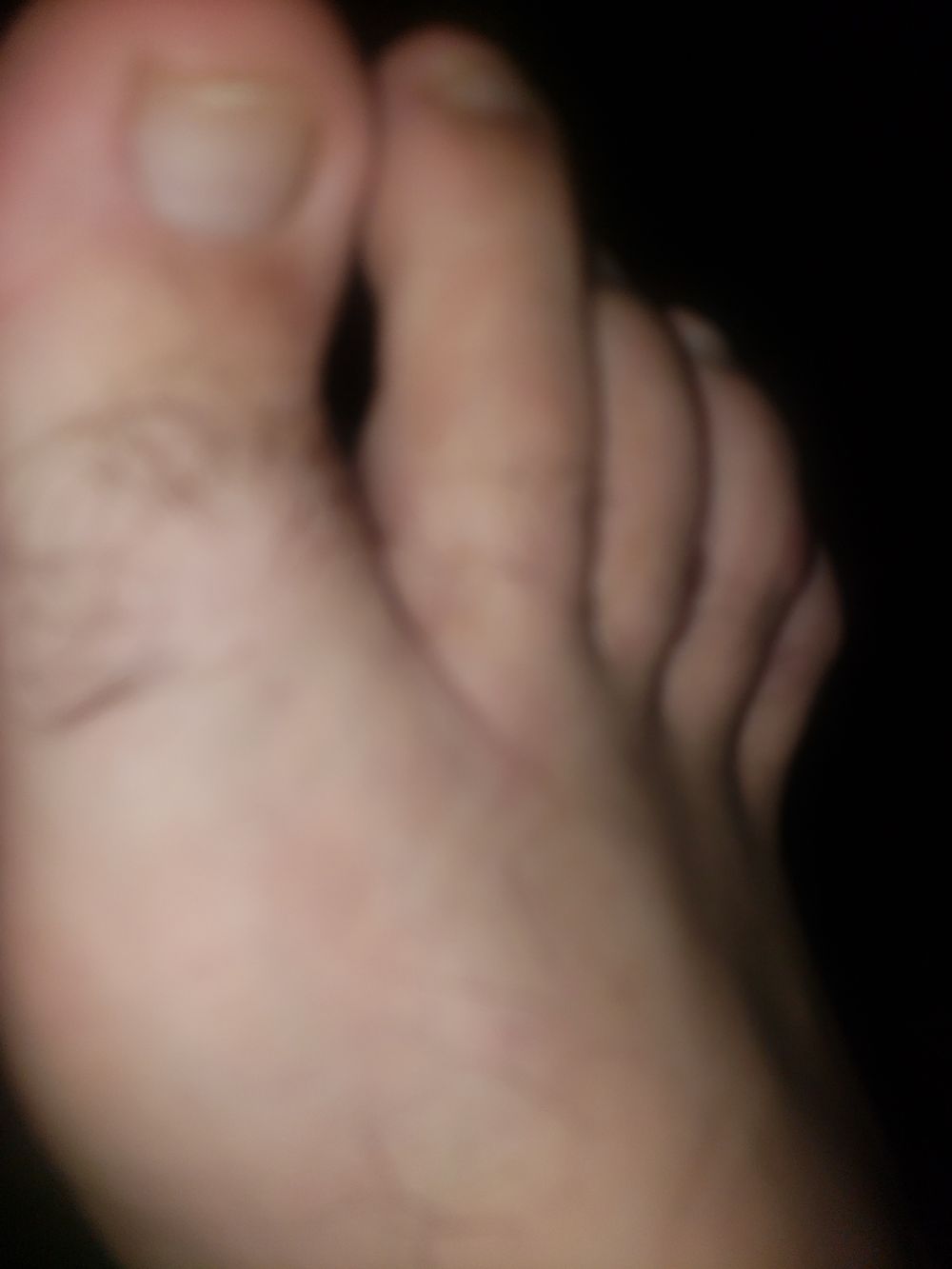 el_rey83 OnlyFans profile picture