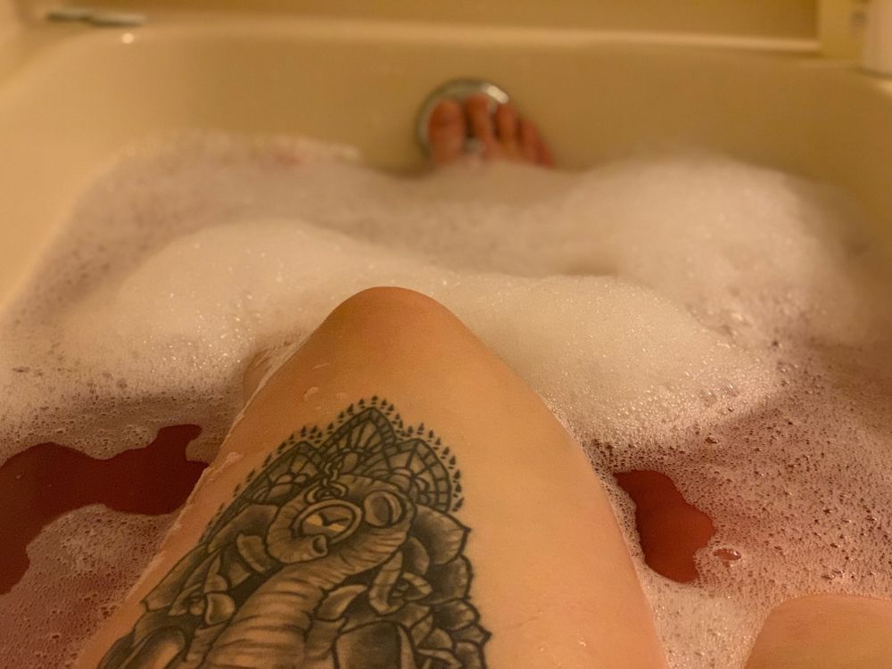 bootylicious_cat OnlyFans profile picture