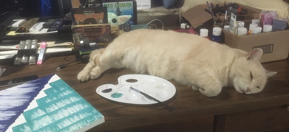 catnippery OnlyFans profile picture