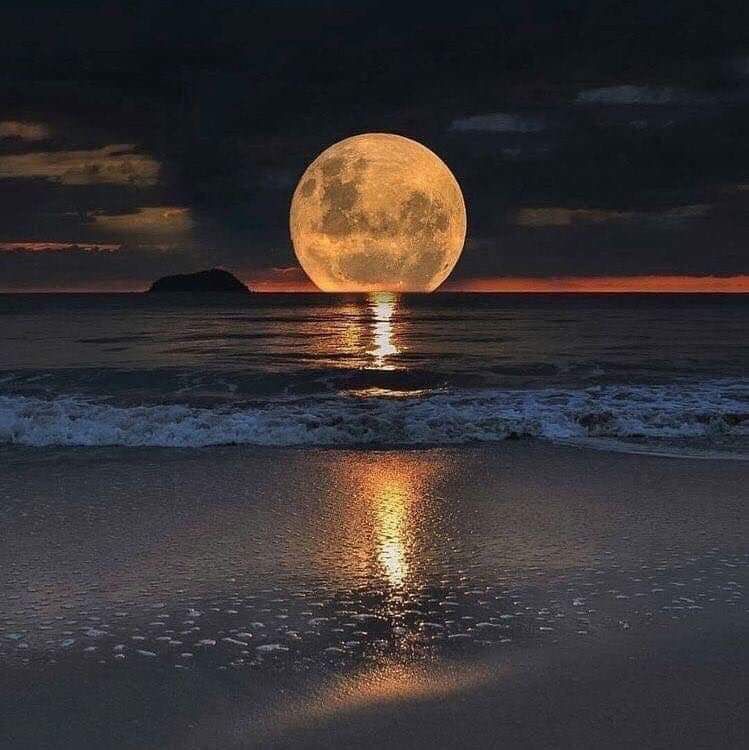 sugarplumprincess1786 OnlyFans profile picture