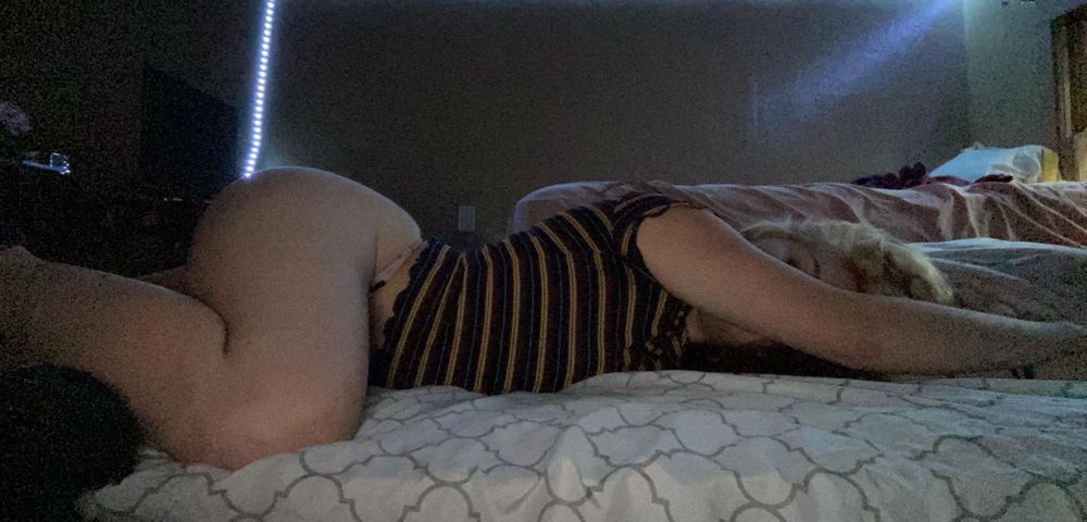 lavender.kiss OnlyFans profile picture