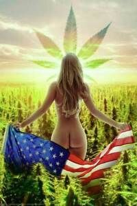 stonermama96 OnlyFans profile picture