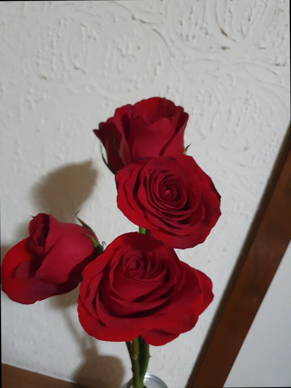 u323595729 OnlyFans profile picture