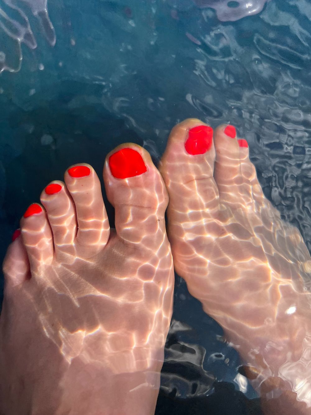 onlyfees OnlyFans profile picture