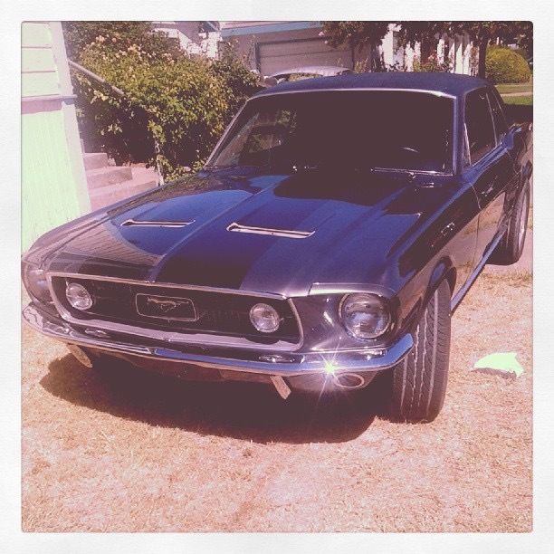 dommustang OnlyFans profile picture