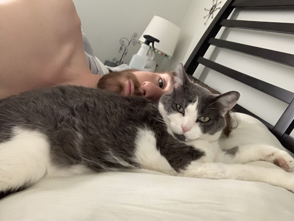 catbaddy OnlyFans profile picture