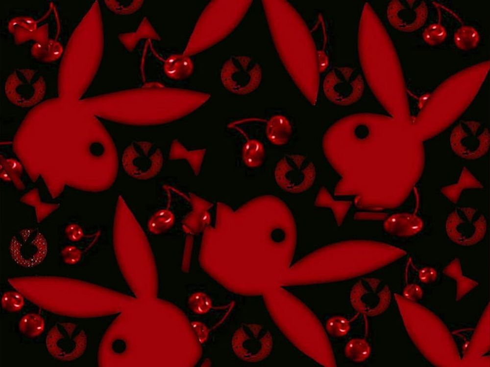your_red_bunny OnlyFans profile picture