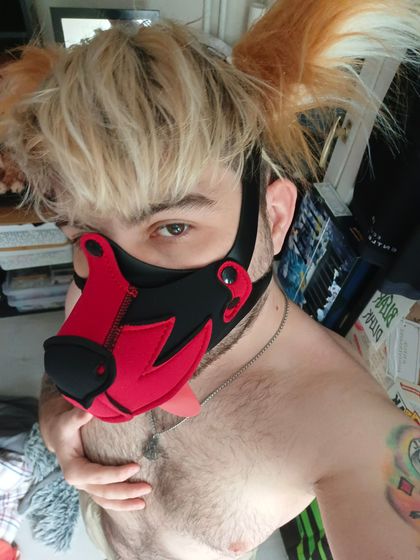rawrfox OnlyFans picture