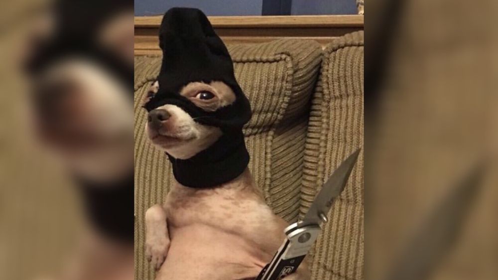 htxmaskedbandit OnlyFans profile picture
