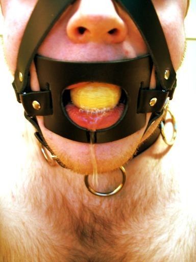 dungazdude OnlyFans profile picture